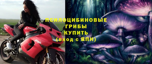 герыч Арсеньев