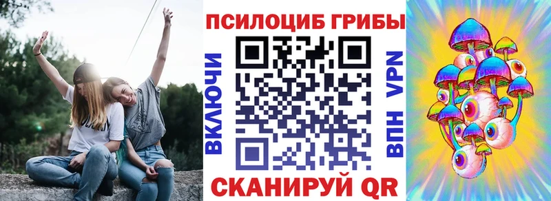 Галлюциногенные грибы Psilocybe  Сафоново 